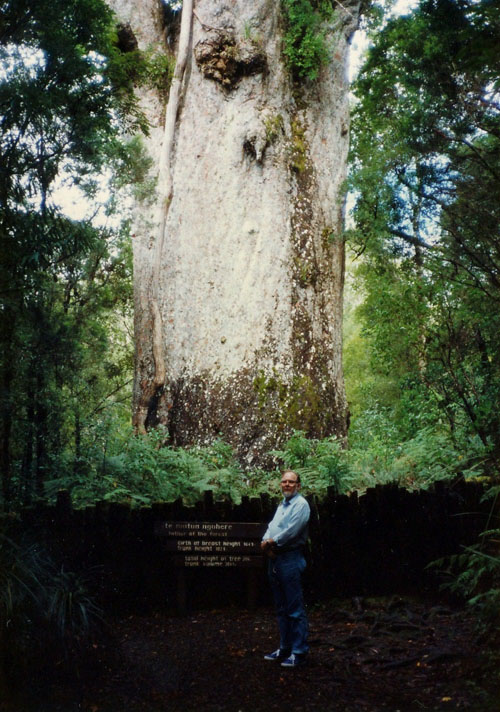 Luther in New Zealand